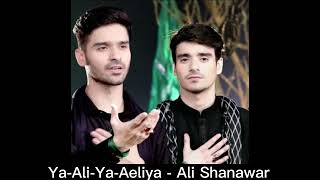 Noha - Ya Ali Ya Aeliya  - Ali Shanawar 2015