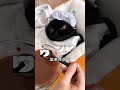 【珠珠的日常】大郎：這次説啥也不上當了 貓 cutecats 可愛 cutecat pet funnycat