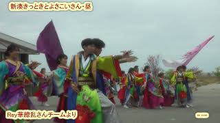 令和６年新湊きっときとよさこいさん・昼・Rey華繚乱さんチームより