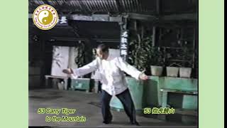 鄭榮光吳家太極貫串圓拳(鄭沛錤師傅)/ Cheng Wing Kwong Wu Style Tai Chi Chuan(Master Cheng  Pui Ki)_1080p