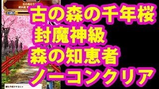 黒ウィズ◆古の森の千年桜 封魔神級 森の知恵者 ノーコンクリア◆黒猫のウィズ