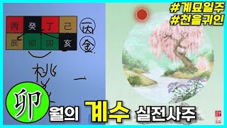 [중급] 261강 묘(卯)월의 계수 실전사주🐰