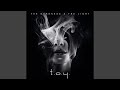 The Darkness & The Light (Solitary Experiments Mix)