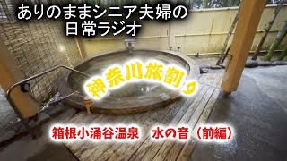 ありのままシニア夫婦　神奈川旅割りでお得な温泉旅行（前編）　小涌谷温泉　『水の音』　ホテル到着、部屋、風呂紹介