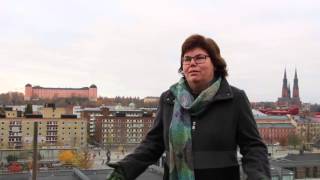 Uppsala divesterar! Längre intervju med Maria Gardfjell