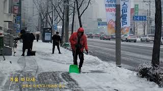 눈이란? 겨울꽃!!(겨울 바다새) 권혁식작사작곡/정경천편곡/권남주song