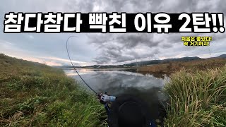 배스낚시 / 물돼지가 나왔던 곳을 재방문했더니 이정도면 말 다했다!!