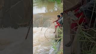 ഇതുപോലെ നിങ്ങൾ മീൻ പിടിച്ചിട്ടുണ്ടോ???ഇങ്ങനെയും മീൻ പിടിക്കാം🐳🐳🐳🐬🐟🐋🐟