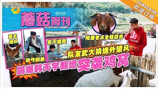 《向往的生活2》四条腿精华版：鸭生首次春游遭“赶鸭团”，彩灯无视美女搭讪只理帅哥？ Back to Field S02【湖南卫视官方频道】