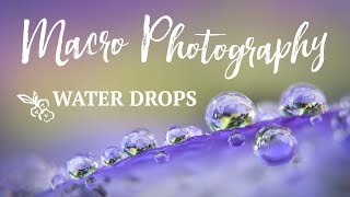 MACRO Photography | Water Drops on Flowers | Tips for Mobile Phone Photography