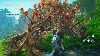 Biomutant How to Get Pip Seed