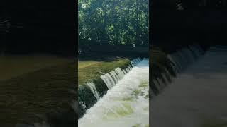 Don’t scroll. Just listen. 👉🎧🌊