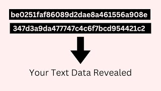 how to build a python hash cracker tutorial
