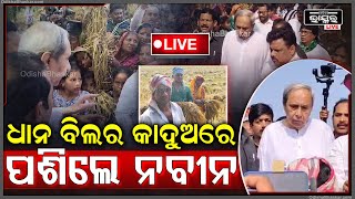 🔴Live: ଚାଷୀଙ୍କ ଦୁଃଖ ଶୁଣିବା ପାଇଁ ପଚ ପଚ କାଦୁଅ ବିଲରେ ପଶିଗଲେ ନବୀନ | Naveen Patnaik | Odisha Bhaskar |