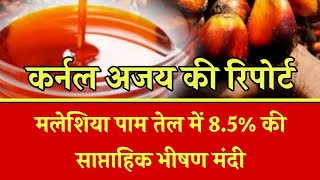 मलेशिया पाम तेल में 8.5% की साप्ताहिक भीषण मंदी, कर्नल अजय की रिपोर्ट। Palm oil