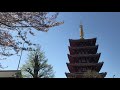 4k 100 beautiful places to go in tokyo 18