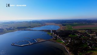 Skjulte Skatte ved Limfjorden: En tur til Doverodde