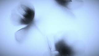 METAHESH - no coincidence