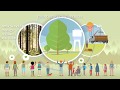 SINCERE - Sustainable forests for a sustainable future