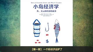 【有声书】《小岛经济学：鱼、美元和经济的故事》完整版