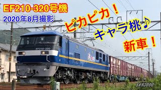 JR貨物 新車でピカピカのEF210-320号機+コキ19B 貨物列車91レ 広島→幡生 2020.8