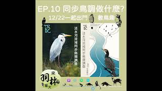 來羽林聊天 EP.10 黑面琵鷺的數量是怎麼數出來的？/同步鳥調怎麼做？/菜鳥可以怎麼入門？/快來參加TRBC吧！