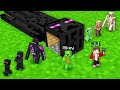 Why Did Mikey and JJ Transform Mobs Into Enderman in Minecraft? (Maizen)