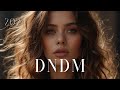 Dndm - Black Rain (original Mix)