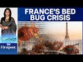 France in Grip of Bed Bug Panic ahead of Paris Olympics | Vantage with Palki Sharma