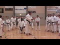 sensei dorfman kwf seminar denmark 2013