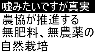 農協が推進する無肥料、無農薬の自然栽培