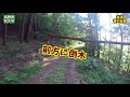 バイク走行動画　honda　crm80　林道　英多線　林道　管の谷線　長野県佐久市