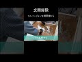 【ダイジェスト】埃・泥だらけ？真っ黒な玄関も簡単スッキリ！【玄関掃除】 shorts　 玄関掃除