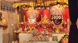 রাজাপুর জগন্নাথ মন্দির সন্ধ্যা আরতি l iskcon rajapur temple arti