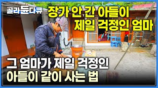 서울에서 열일하던 아들이 섬마을로 다시 돌아왔다🏝 장가 안 간 아들이 제일 걱정인 어머니, 어머니가 제일 걱정인 순박한 아들의 동고동락┃#골라듄다큐