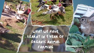 What we have learnt in 1 year of organic animal farming | Self Sufficiency Episode 8