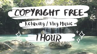 Relaxing Background Music [No Copyright] || Vlog Music Copyright free || 1 Hour No Copyright  Music