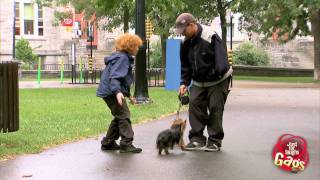 Stealing Cute Puppies Prank