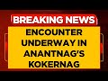 Jammu & Kashmir News: Terrorists Trapped In Encounter With Security Forces In Anantnag's Kokernag