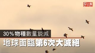 30％物種數量銳減　地球面臨第6次大滅絕