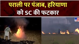 SC On Parali: पराली पर Punjab, Haryana को SC की फटकार, कार्रवाई के लिए सरकार गंभीर नहीं | SC