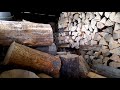 fiskars x17 splitting lodgepole pine