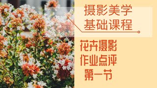 摄影美学基础课程 杨明主讲《花卉摄影》作业点评课 第一节