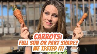 Do Carrots Need Full Sun or Part Shade? (Side by side TEST)