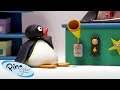 Ding Dong! Pingu is Ringing! 🐧 | Pingu - Official Channel | Cartoons For Kids