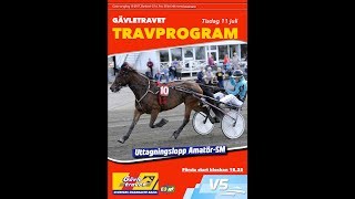 Gävletravet 170711 Kval 2