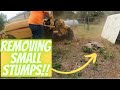 Rayco Rg50 Stump Grinder tackling small stumps