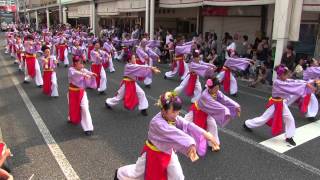 第62回よさこい祭り(2015/8/10)「本山さくら」