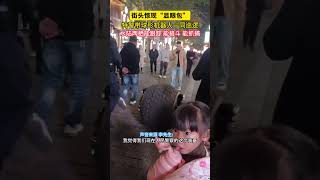 街頭驚現“顯眼包”，特警帶球形機器人一同巡邏，水陸兩棲能跟踪 能格鬥 能抓捕機器人