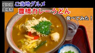 ご当地グルメ 豊橋カレーうどん食べてみた！【126のりのり】